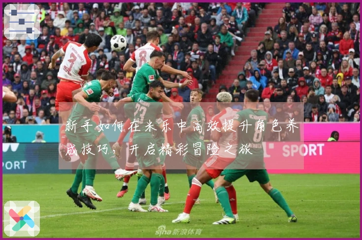 新手如何在米乐中高效提升角色养成技巧，开启精彩冒险之旅